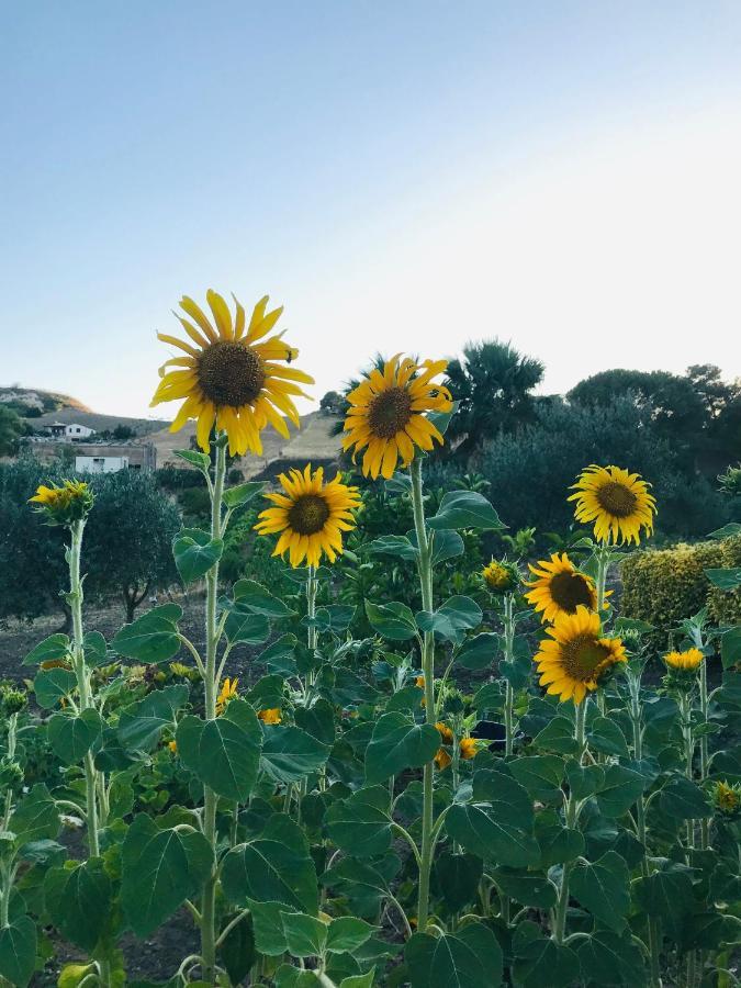 Villa Lada Santa Ninfa Bagian luar foto
